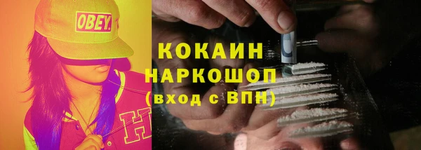 apvp Богородицк