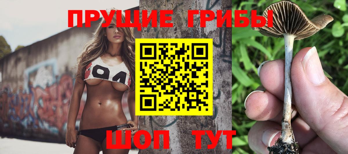 Псилоцибиновые грибы мицелий Магадан