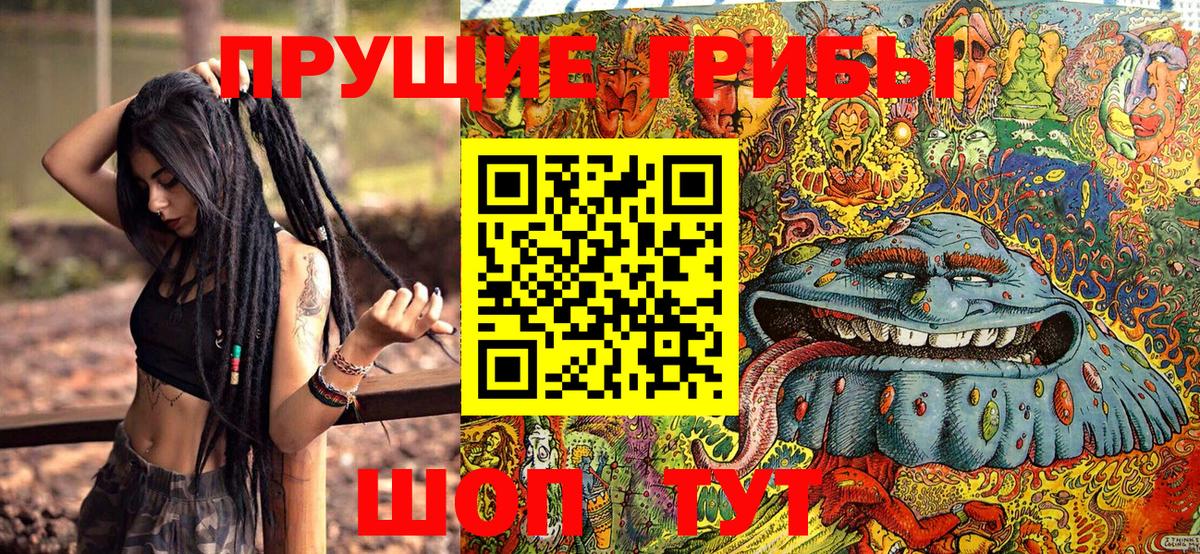 Псилоцибиновые грибы MAGIC MUSHROOMS  Псилоцибиновые грибы Magic Shrooms  Вход с VPN  Магадан 