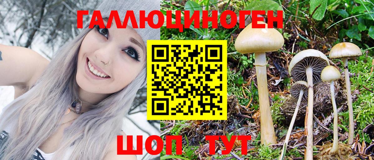 Псилоцибиновые грибы мицелий  Магадан 